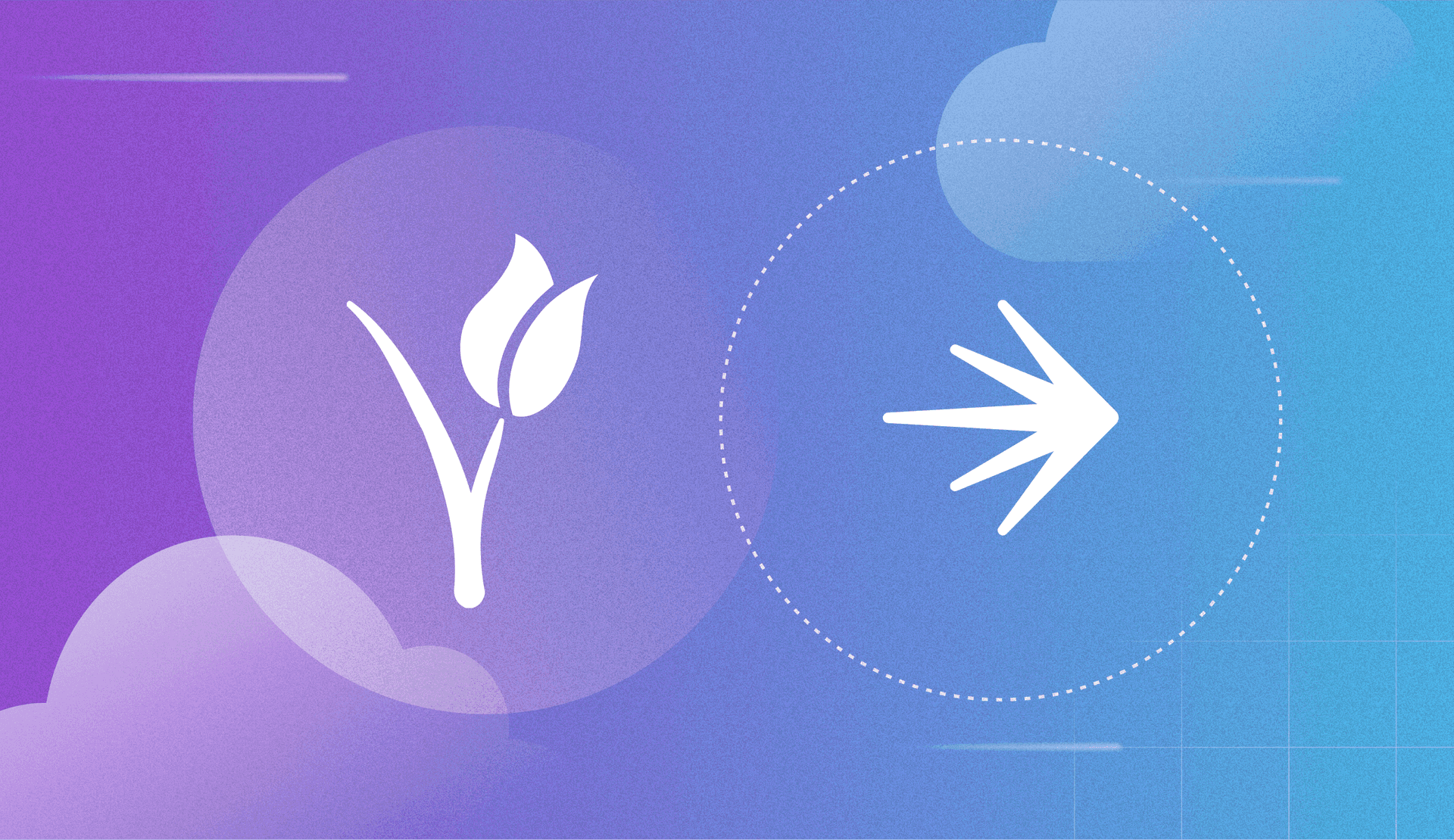 1-800-FLOWERS.COM, Inc. Migrates to the Cloud Seamlessly with LaunchDarkly featured image