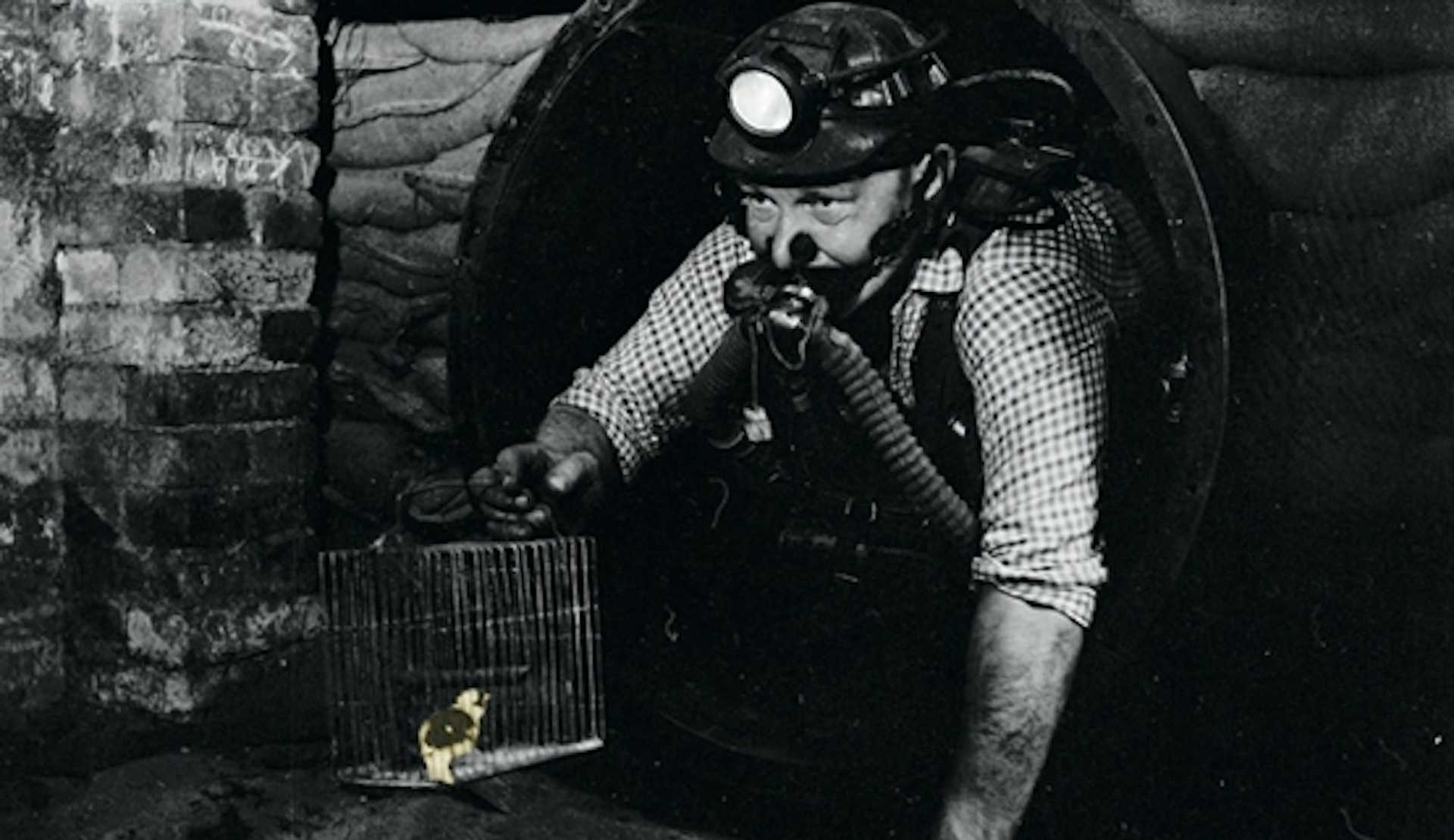 Net Promoter Score + Feature Flags for canary releases featured image